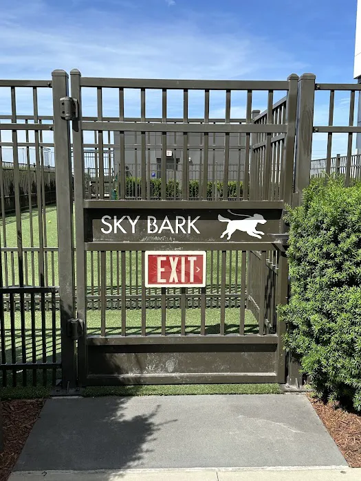 The Perch Sky Dog Park 6