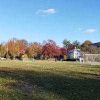 Hardy Dog Park ico