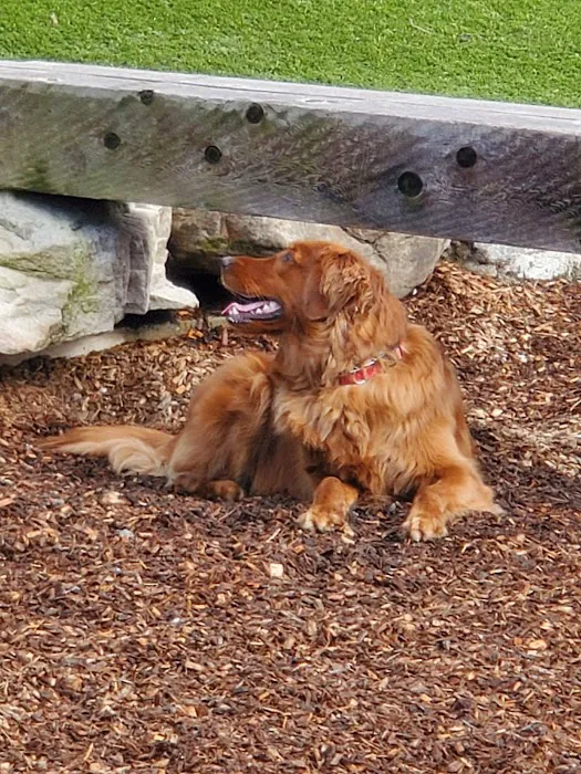 Canis Major Dog Park 6