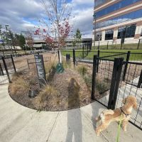 Canis Major Dog Park ico