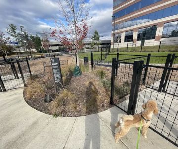 Canis Major Dog Park
