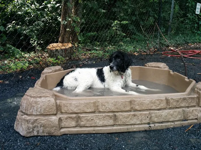 Vienna Dog Park 8