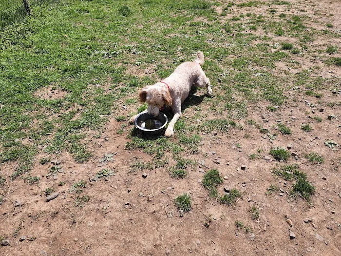 Blake Ln Dog Park Parking 4