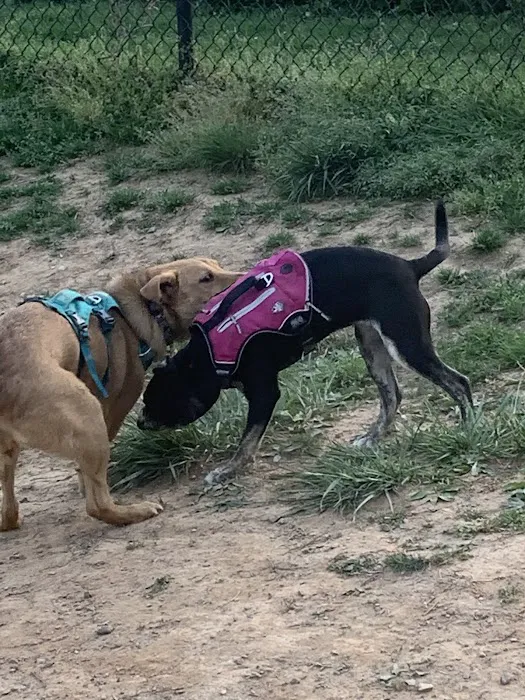 Blake Ln Dog Park Parking 7