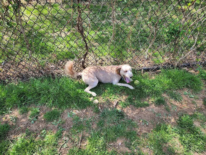 Blake Ln Dog Park Parking 5