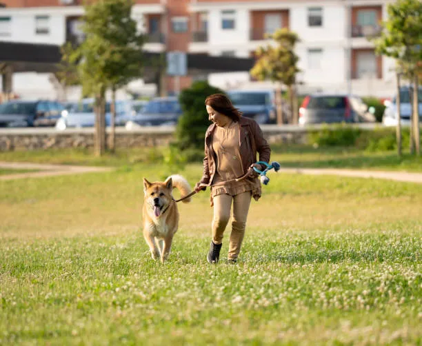 Reserve Dog Park 7