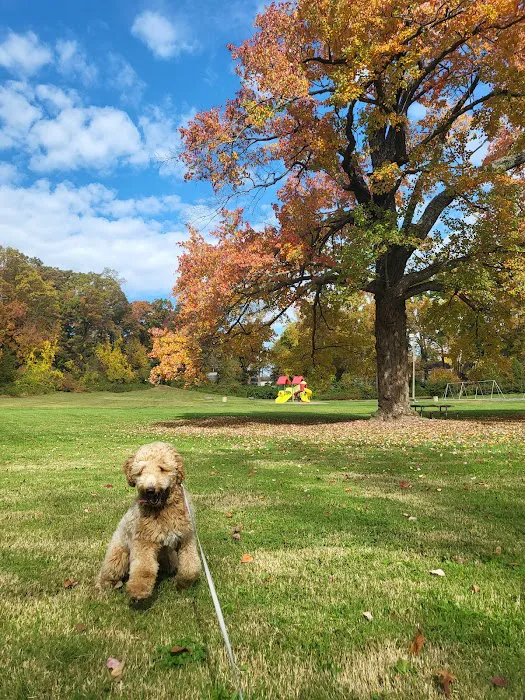 Fairfax City Dog Park 5