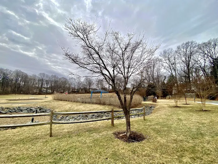 Fairfax City Dog Park 2