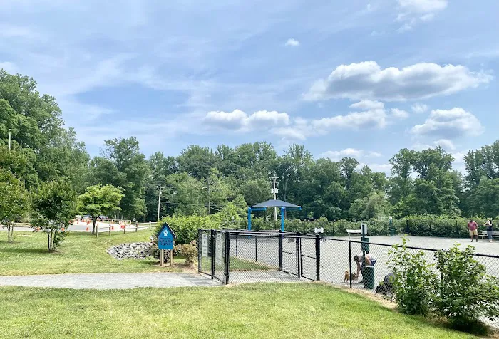Fairfax City Dog Park 3