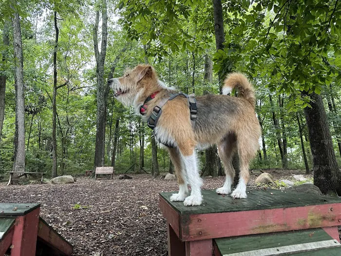 Dulles Gateway Dog Park 2