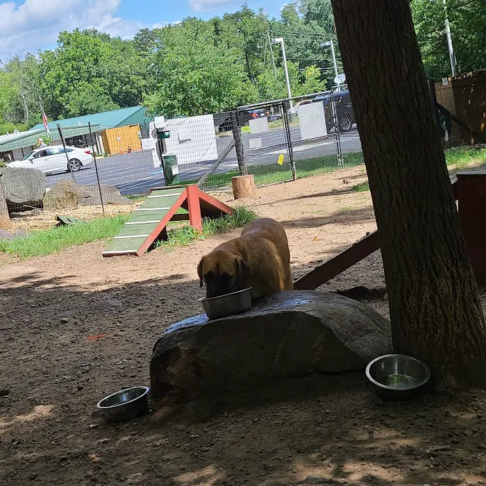 Dulles Gateway Dog Park 9