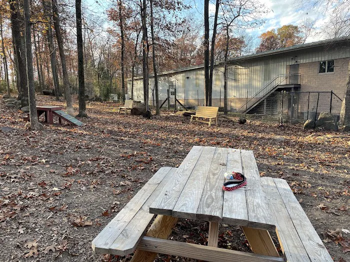 Dulles Gateway Dog Park 10