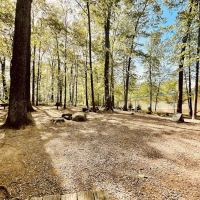 Dulles Gateway Dog Park ico