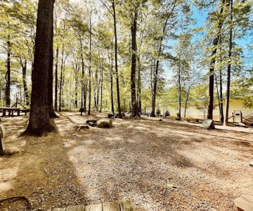Dulles Gateway Dog Park