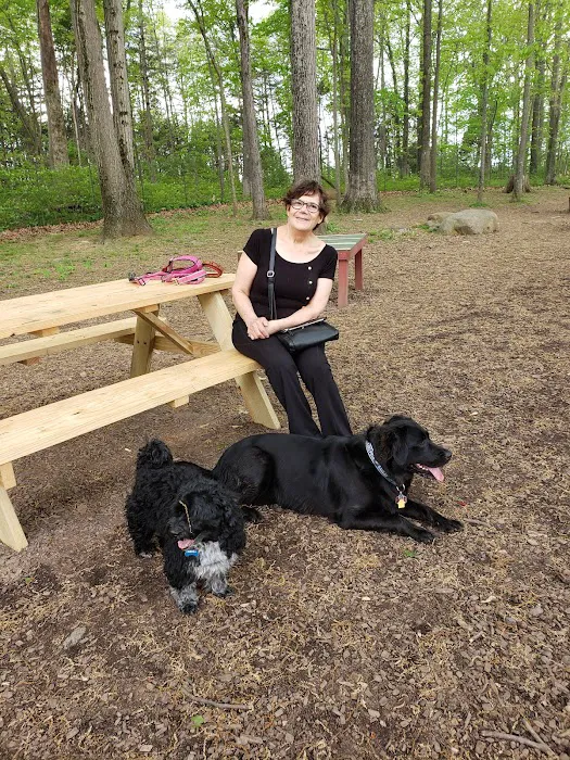 Dulles Gateway Dog Park 6