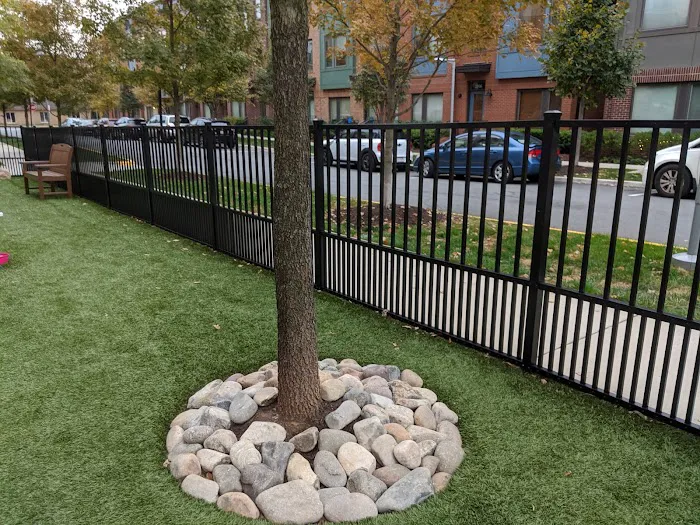 Mosaic Dog Park 10
