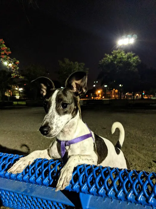 Shaw Dog Park 10