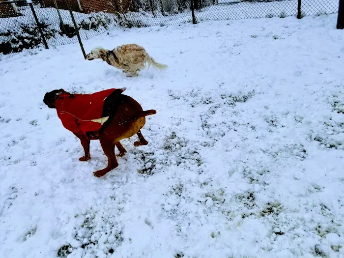 Shaw Dog Park 5