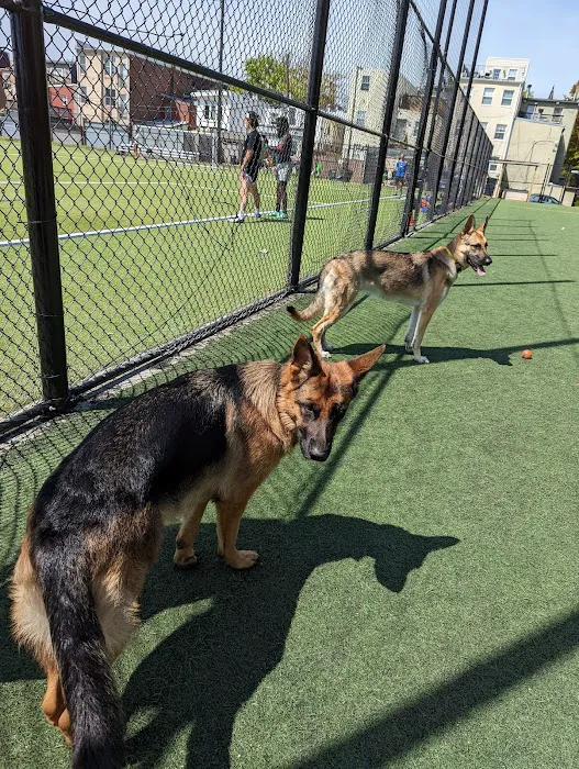 Bundy Dog Park 1
