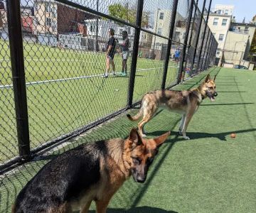 Bundy Dog Park