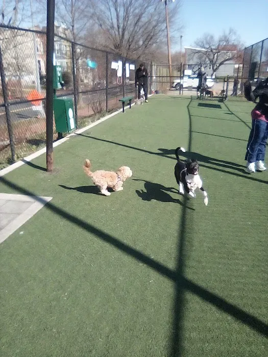 Bundy Dog Park 4