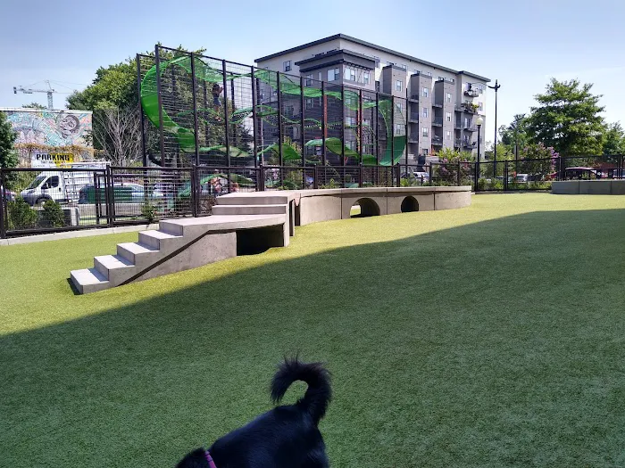 Swampoodle Dog Park & Playground 8