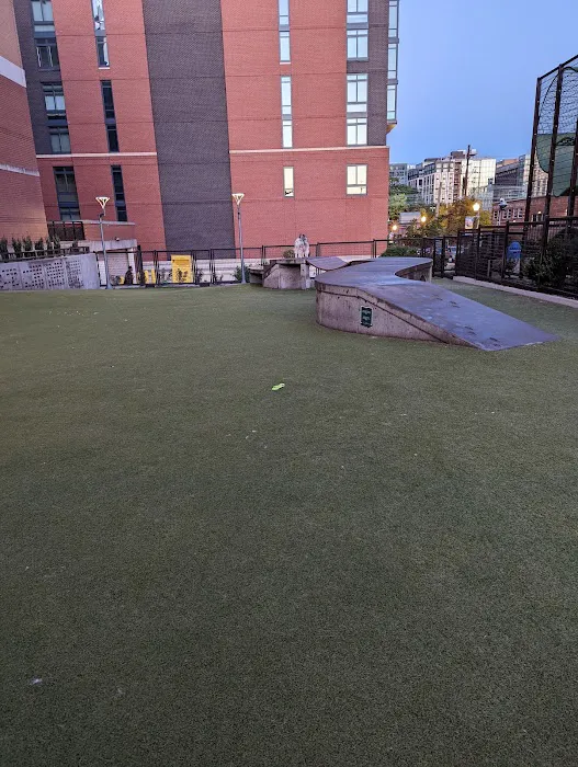 Swampoodle Dog Park & Playground 2