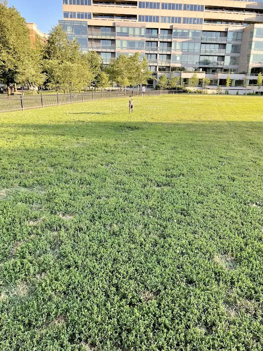 Francis Field 9