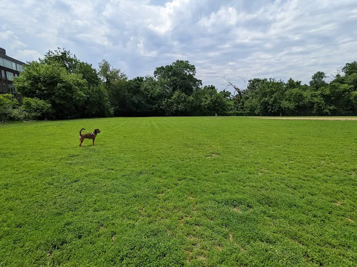 Francis Field 5