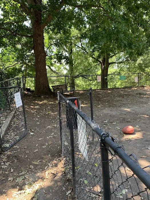 Dog Park 3