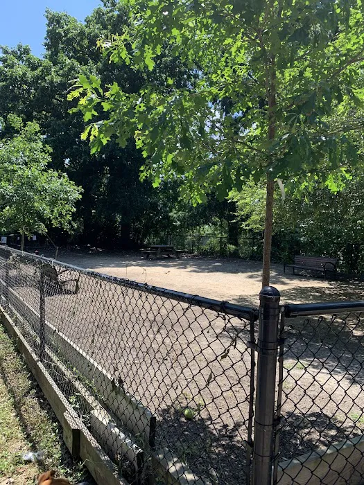 Dog Park 5