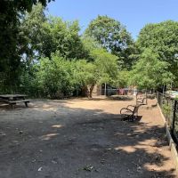 Dog Park ico