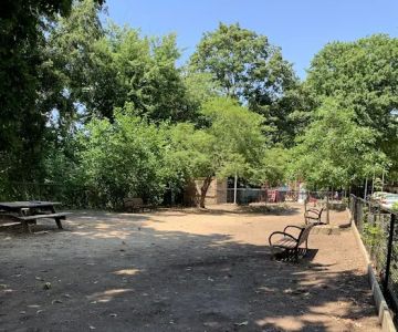 Dog Park