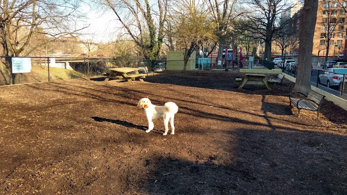 Dog Park 6