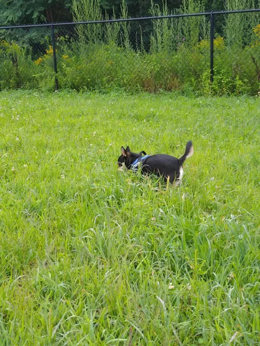 Friend Lee Pets Dog Park 1
