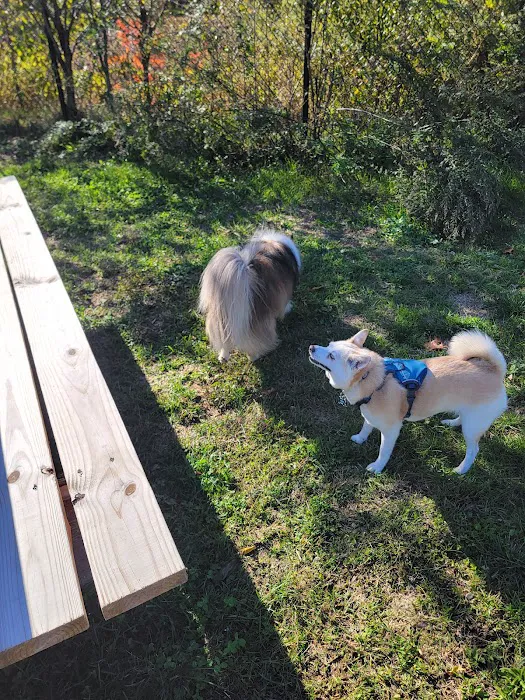 Friend Lee Pets Dog Park 6