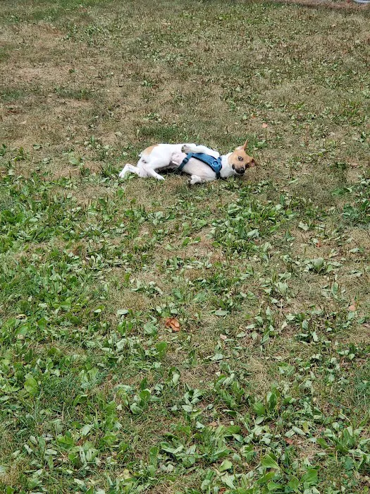 Rochester NH Dog Park (Private, Members-Only with paid membership and license information) 2