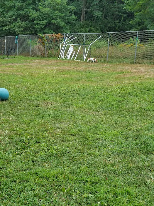 Rochester NH Dog Park (Private, Members-Only with paid membership and license information) 1
