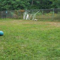 Rochester NH Dog Park (Private, Members-Only with paid membership and license information) ico