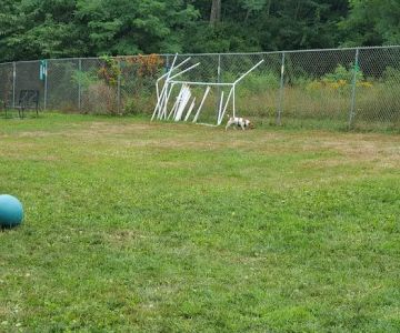 Rochester NH Dog Park (Private, Members-Only with paid membership and license information)