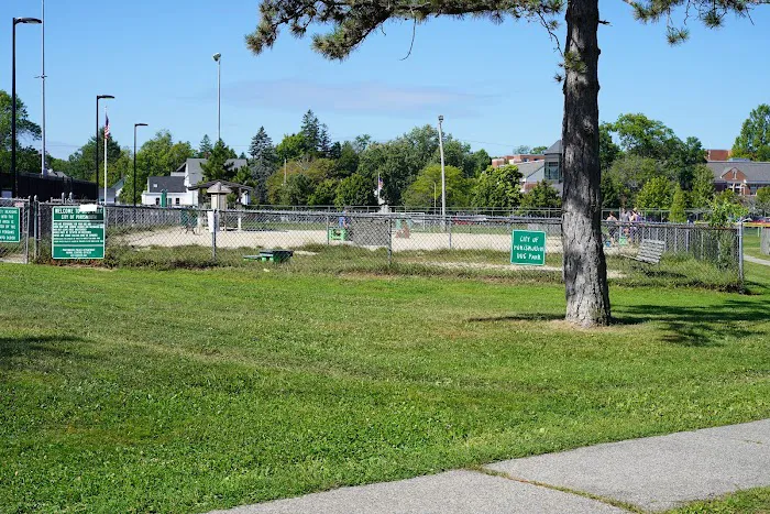 Portsmouth Dog Park 3