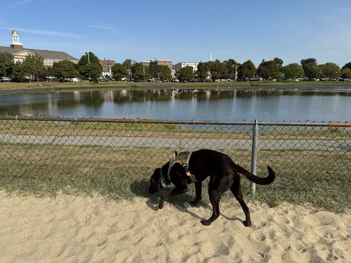 Portsmouth Dog Park 6