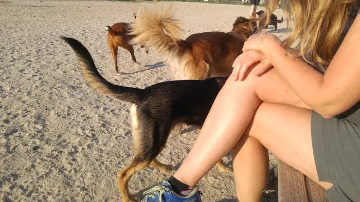 Portsmouth Dog Park 9