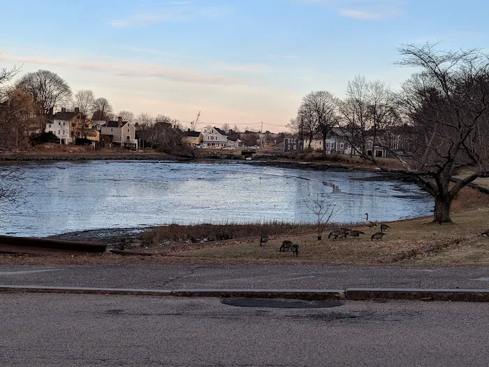 Portsmouth Dog Park 8
