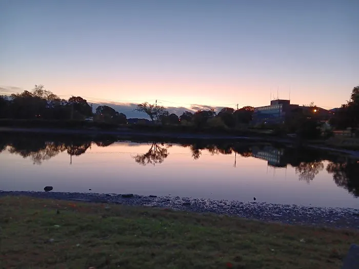 Portsmouth Dog Park 10