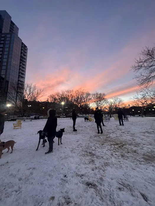 Gateway Park Interim Dog Park 2