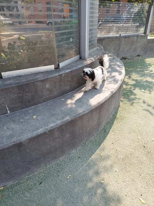 James Hunter Dog Park 10