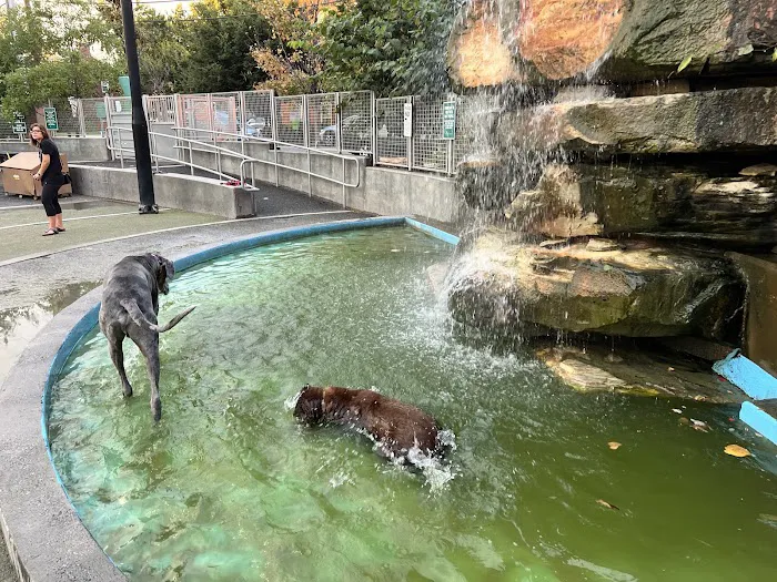 James Hunter Dog Park 6