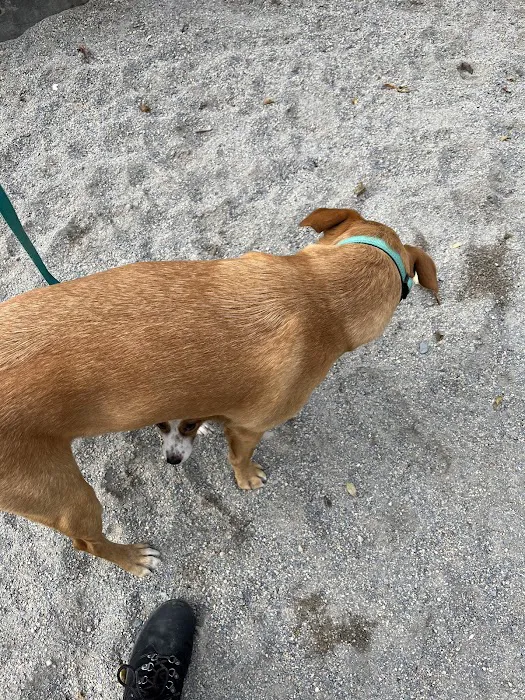 James Hunter Dog Park 9