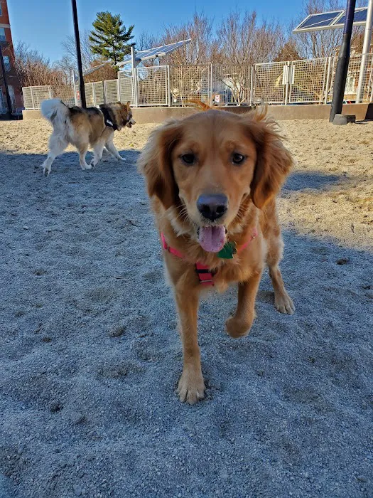 James Hunter Dog Park 5